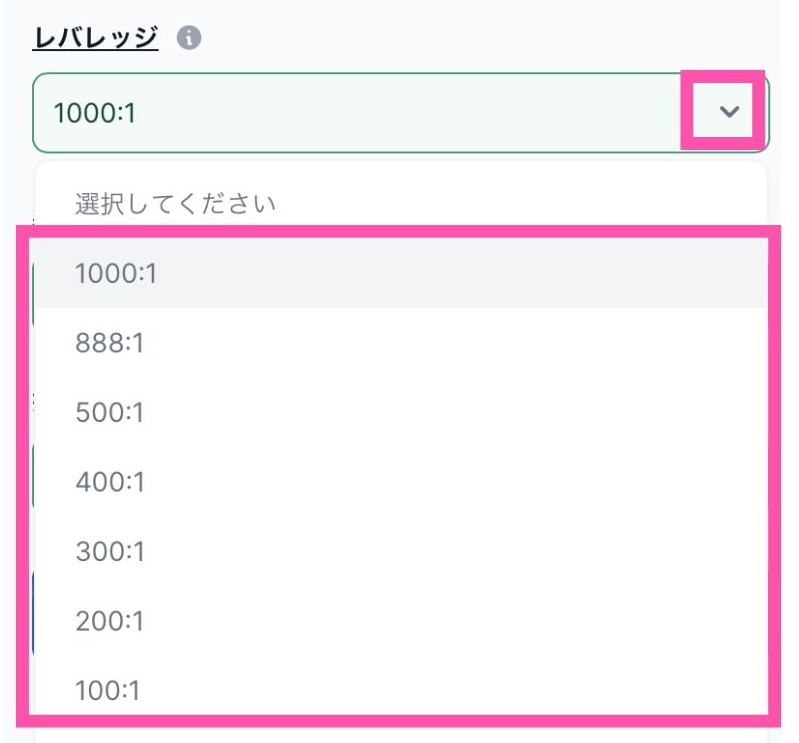 xm デモ口座を開設　レバレッジを設定する